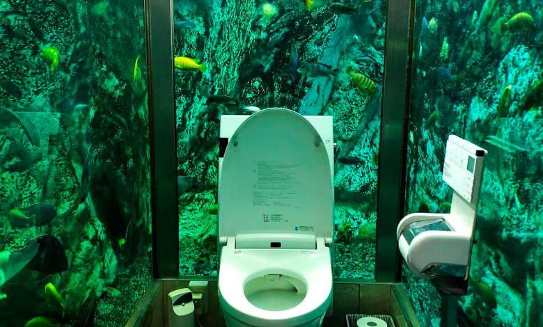Café de Japón crea un baño rodeado de un acuario 
