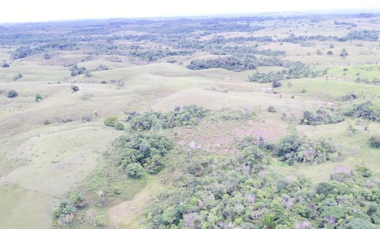 Panorámica de zonas de deforestación en el Caquetá