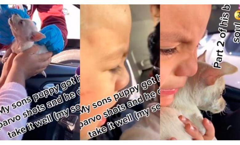 Niño llora luego de que su pequeño perro ladrara tras ser vacunado