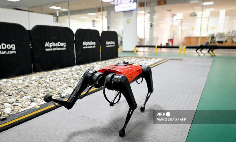 Perros-robot, el último grito tecnológico en China