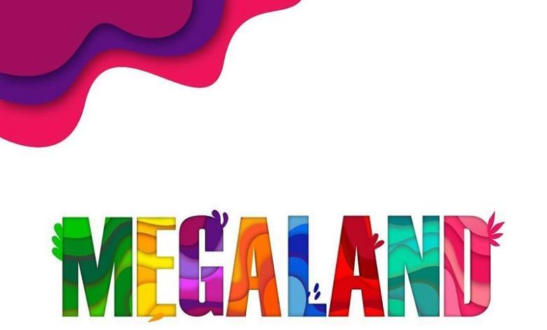 Cartel de Megaland 2019