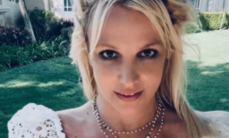 El rapero Timbaland se disculpa tras decir que a Britney Spears deberían ponerle un bozal