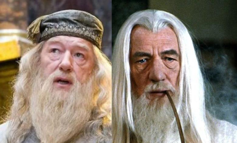 Confunden a Dumbledore de Harry Potter con Gandalf de El señor de los anillos