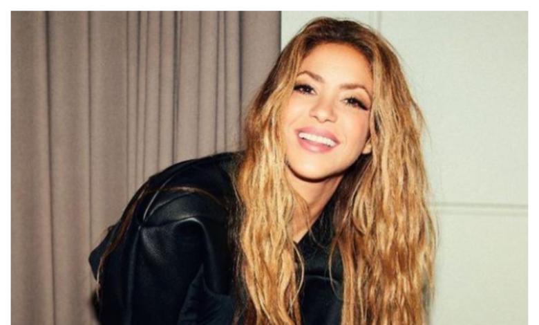 Shakira: hizo casa de jengibre y dijo que fue la peor