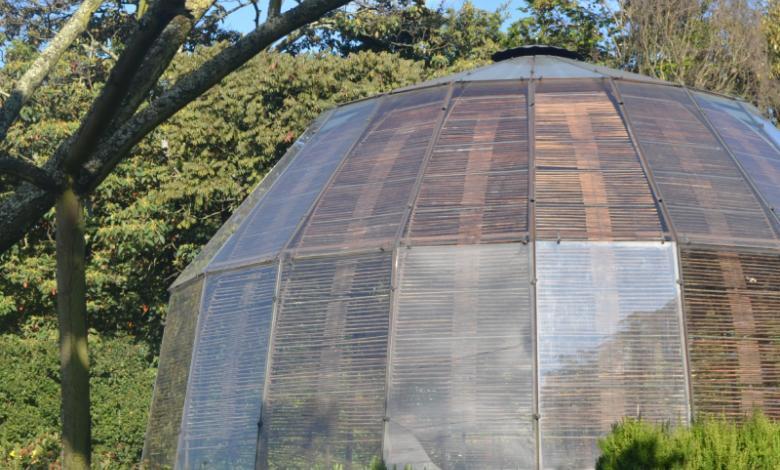 Espectáculo de luces 2023 en el Jardín Botánico: te contamos cuánto cuesta