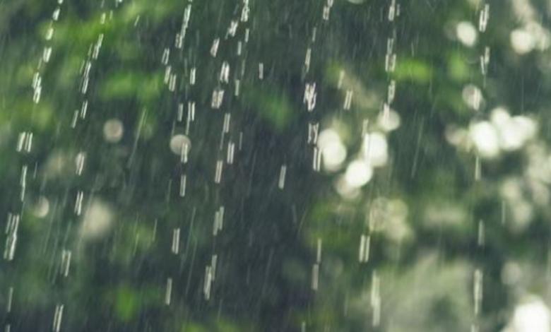 Descifrando los Sueños: ¿qué significa soñar con la lluvia?