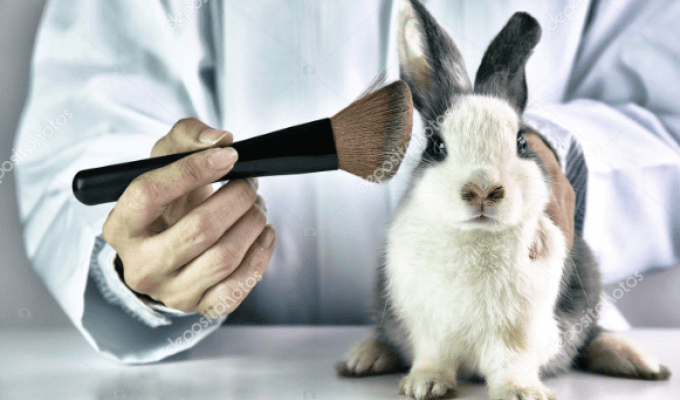 Colombia sería el primer país de América Latina en eliminar el uso de animales en laboratorio 