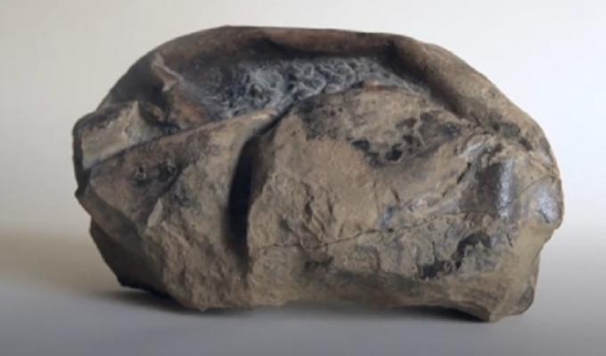 Misterioso fósil hallado en la Antártida es un gigante huevo prehistórico