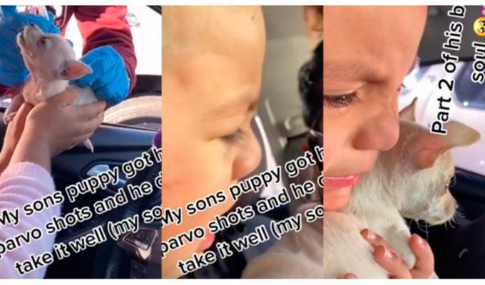 Niño llora luego de que su pequeño perro ladrara tras ser vacunado