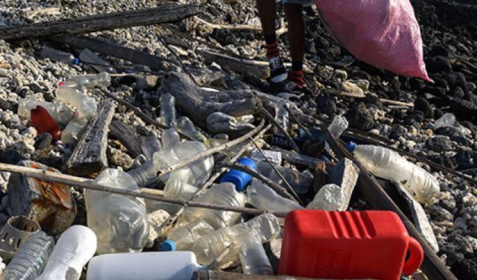 Plástico amenaza la vida en Galápagos