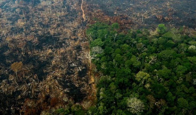 Incendios en la amazonía brasilera 