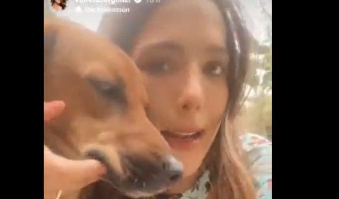 Violeta Bergonzi busca quien adopte a perrita rescatada