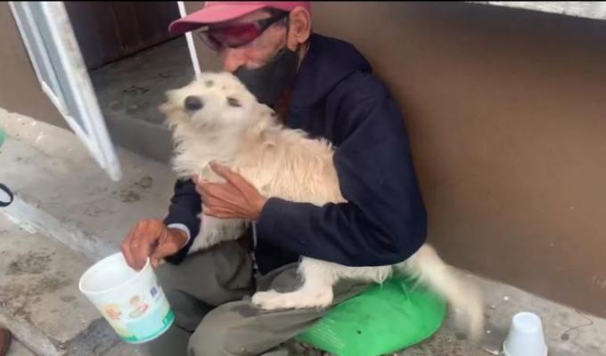Abuelito ciego encuentra a su perro