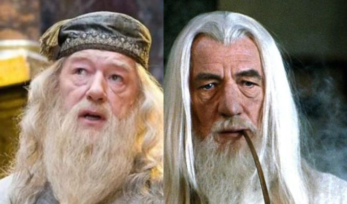 Confunden a Dumbledore de Harry Potter con Gandalf de El señor de los anillos