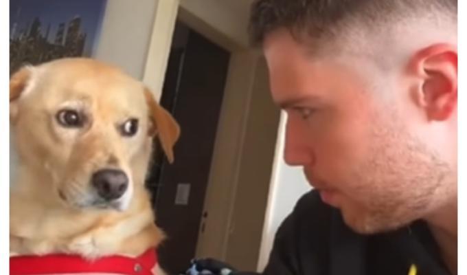Hombre que pregunta a su perro si fue humano en otra vida