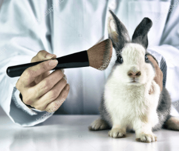 Colombia sería el primer país de América Latina en eliminar el uso de animales en laboratorio 