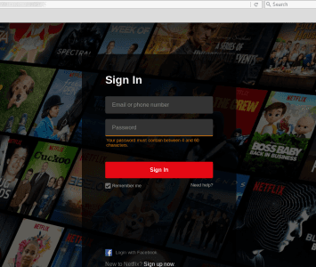 Netflix fraude