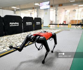Perros-robot, el último grito tecnológico en China