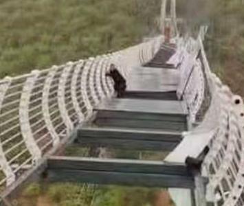 Accidente en puente de cristal en China