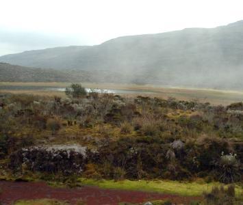 Parque Nacional Natural Sumapaz
