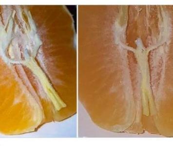 Jesús en una mandarina