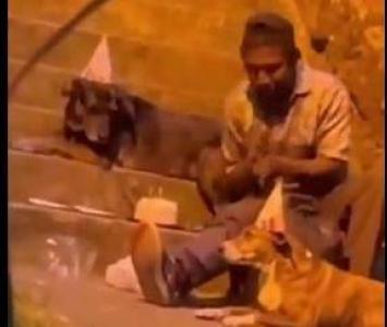 Habitante de calle se volvió viral por celebrarle el cumpleaños a sus perros