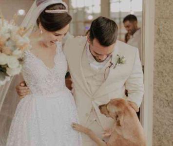 Perrito adoptado por una pareja el día de su boda