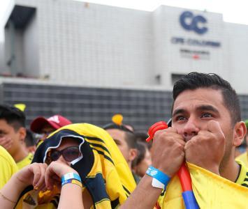 Hinchas de la Selección Colombia animan a la 'Tricolor'