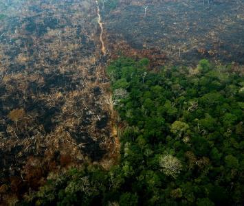 Incendios en la amazonía brasilera 