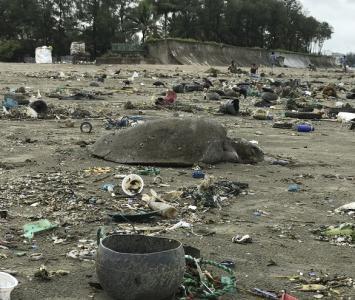 Tortugas mueren en Bangladés atrapadas por residuos plásticos