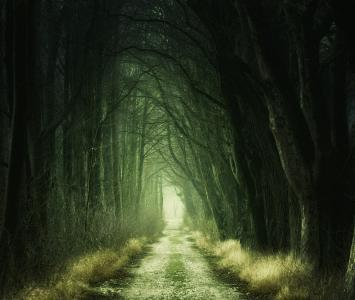 Parálisis del sueño y bosque en El Cartel Paranormal - Agosto 19