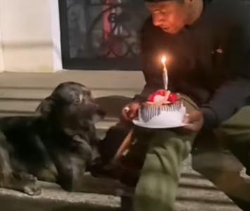 Habitante de calle le celebra el cumpleaños a su perro