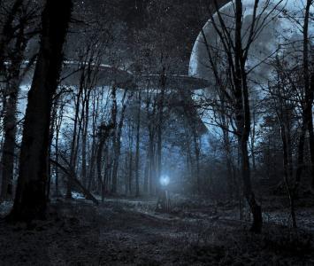 Ovnis en un bosque en la noche bajo la luna 