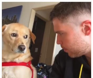Hombre que pregunta a su perro si fue humano en otra vida